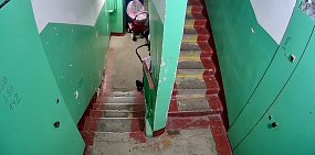 Момент кражи коляски. Фото УМВД по региону 