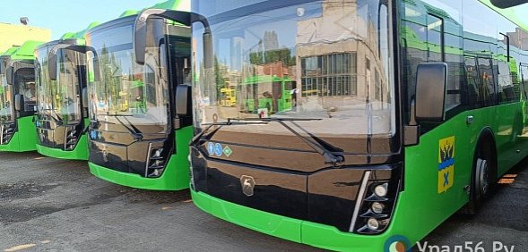 Автобусы в Оренбурге. Фото из архива