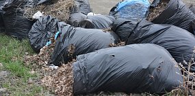 В Орске субботник провели, но мешки не вывезли