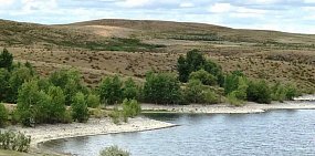 Как сильно «ушел» берег Ириклинского водохранилища из-за недостатка воды?