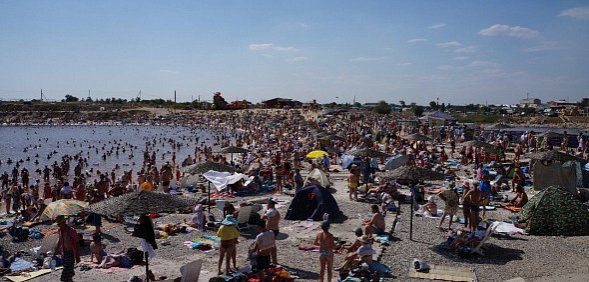 Angry Birds по-оренбургски: В Соль-Илецке на озерах на туристку напала стая птиц