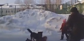 Стоп-кадр из видео