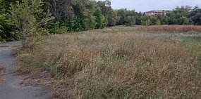 Минус один спортивный объект: в Орске окончательно пришел в негодность стадион бывшего училища №1