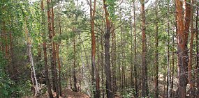 Маршрут выходного дня: Лучшие места Кваркенского района