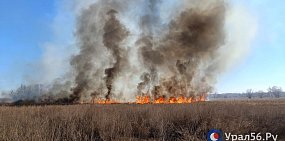 С 29 октября по 5 ноября в Оренбургской области ожидается 4 класс пожарной опасности