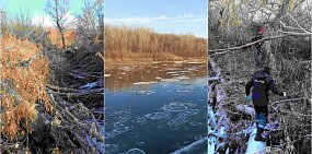 Поиски ребенка. Источник: Департамент пожарной безопасности и гражданской защиты региона