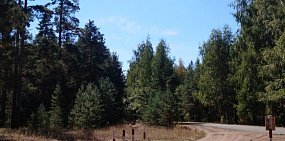 В этом году будет отремонтирована дорога, ведущая от Бузулука в сторону Бузулукского бора