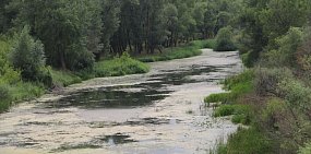 Проблемой обмеления реки Урал займутся президенты России и Казахстана 