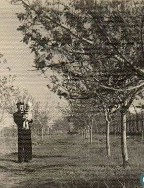 Стадион, танцплощадка и фонтаны: как орские химики хотели разбить парк на площади Гагарина