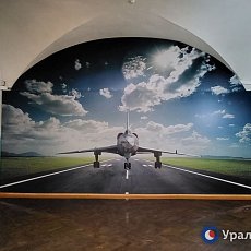 Изображение самолета на стене в школе-интернате с первоначальной летной подготовкой 