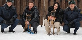 Служебные собаки. Источник: ГУФСИН России по Свердловской области
