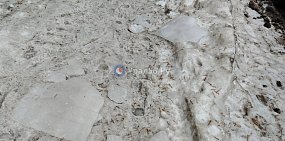 Из-за потепления в Оренбурге с крыш домов на тротуары падает лед