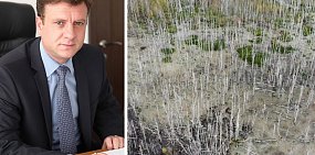 Министра здравоохранения Омской области, который ранее лечил Алексея Навального, нашли живым после исчезновения 