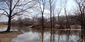 Ириклинское водохранилище уменьшило сброс воды в 2 раза, уровень Урала в Орске тут же начал падать