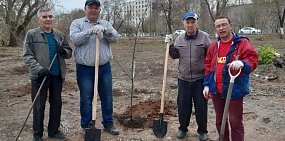 Общественники Оренбурга начали высаживать «Народный парк» на проспекте Гагарина