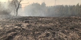 На первомайские праздники в Оренбургской области прогнозируется высокая и чрезвычайная пожарная опасность