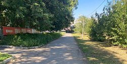 Газоны стригут, но тротуары зарастают: Что происходит в Орске с сорняками сейчас по сравнению с прошлым годом?
