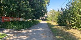 Газоны стригут, но тротуары зарастают: Что происходит в Орске с сорняками сейчас по сравнению с прошлым годом?