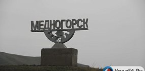 Администрация Медногорска уже почти год ходит по судам, но отказывается травить мышей вокруг жилых районов