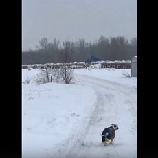 Стоп-кадр из видео в паблике «Типичный Оренбург»