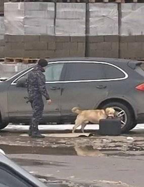 В Оренбурге на авто предпринимателя, который обращался к президенту, нашли GPS-трекер