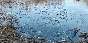 Следственный комитет начал проверку после гибели ребенка в Кваркенском районе