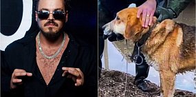 Игорь Дуденко и спасение животных. Источник: Instagram* (принадлежит американской компании Meta, которую признали экстремистской, запрещен на территории РФ)