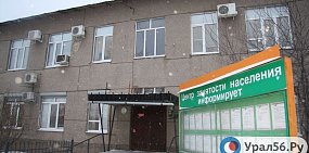 Сколько зарабатывают руководители центров занятости населения в Оренбургской области? Опубликованы сведения о доходах