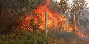 С 1 мая в Оренбургской области вводится особый противопожарный режим: можно ли жарить шашлыки?