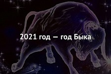 Фото Быка На Новый Год 2022