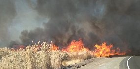 Пожар в поле. Фото из архива