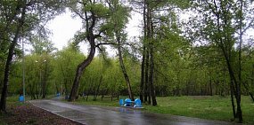 В этом году в Оренбурге начнут благоустройство Зауральной рощи 