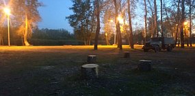 В Оренбурге срубили деревья для имитации военно-полевого госпиталя ко Дню Победы