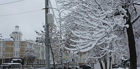 На наступившей неделе снегопадов в Оренбургской области не прогнозируется, как и сильных ночных морозов