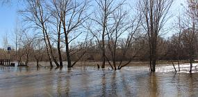 Уровень реки Урал в Оренбурге продолжает расти