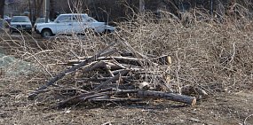 Ландшафтный дизайн и уборка мусора: какие работы разыгрывает Орск на ближайшие месяцы?