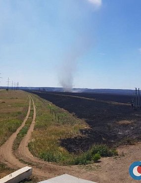 Вспахали ли противопожарную полосу под Новотроицком вдоль границы с Казахстаном?
