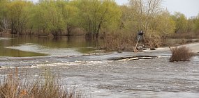 Оренбургская область