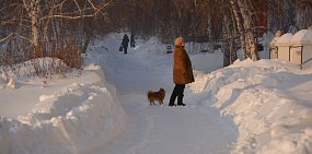В Орске почистили центральные улицы, но «забыли» про соцобъекты: к поликлинике ведет узкая кривая тропинка