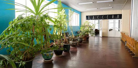 Спорткомплекс, ДК и учебный корпус: Некоторые здания ОГУ, которые не ремонтировались с момента постройки, ждут обновления