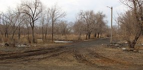 До конца года власти планируют очистить парк Малишевского в Орске от поросли и сорняков