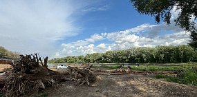 В Оренбурге в этом году может заработать центральный пляж