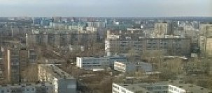 В Оренбурге администрация Южного округа заплатит 226 тыс. руб. за упавшее на автомобиль дерево