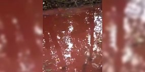 Воду в реке Ташлинского района в красно-малиновый цвет окрасил марганец