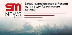Загрязнения океана ядохимикатами VS цветение водорослей: Зачем «Greenpeace» в России мутит воду Авачинского залива