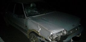 В Саракташском районе ВАЗ сбил насмерть двух пешеходов