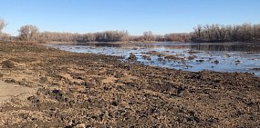 С берегов Урала в Орске начали вывозить ил, грязь и ветки, вытащенные из русла