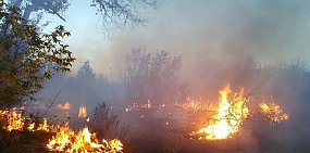 В Орске ввели особый противопожарный режим