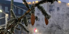 Прогноз погоды на завтра