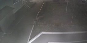 На месте происшествия. Источник: Стоп-кадр с камеры видеонаблюдения